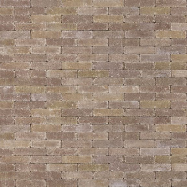 Tumbelton Redsun Waal 5x20x7,3 Inca